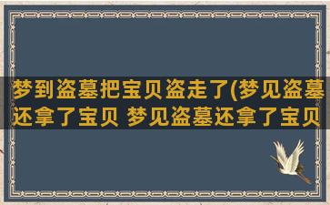 梦到盗墓把宝贝盗走了(梦见盗墓还拿了宝贝 梦见盗墓还拿了宝贝的含义)